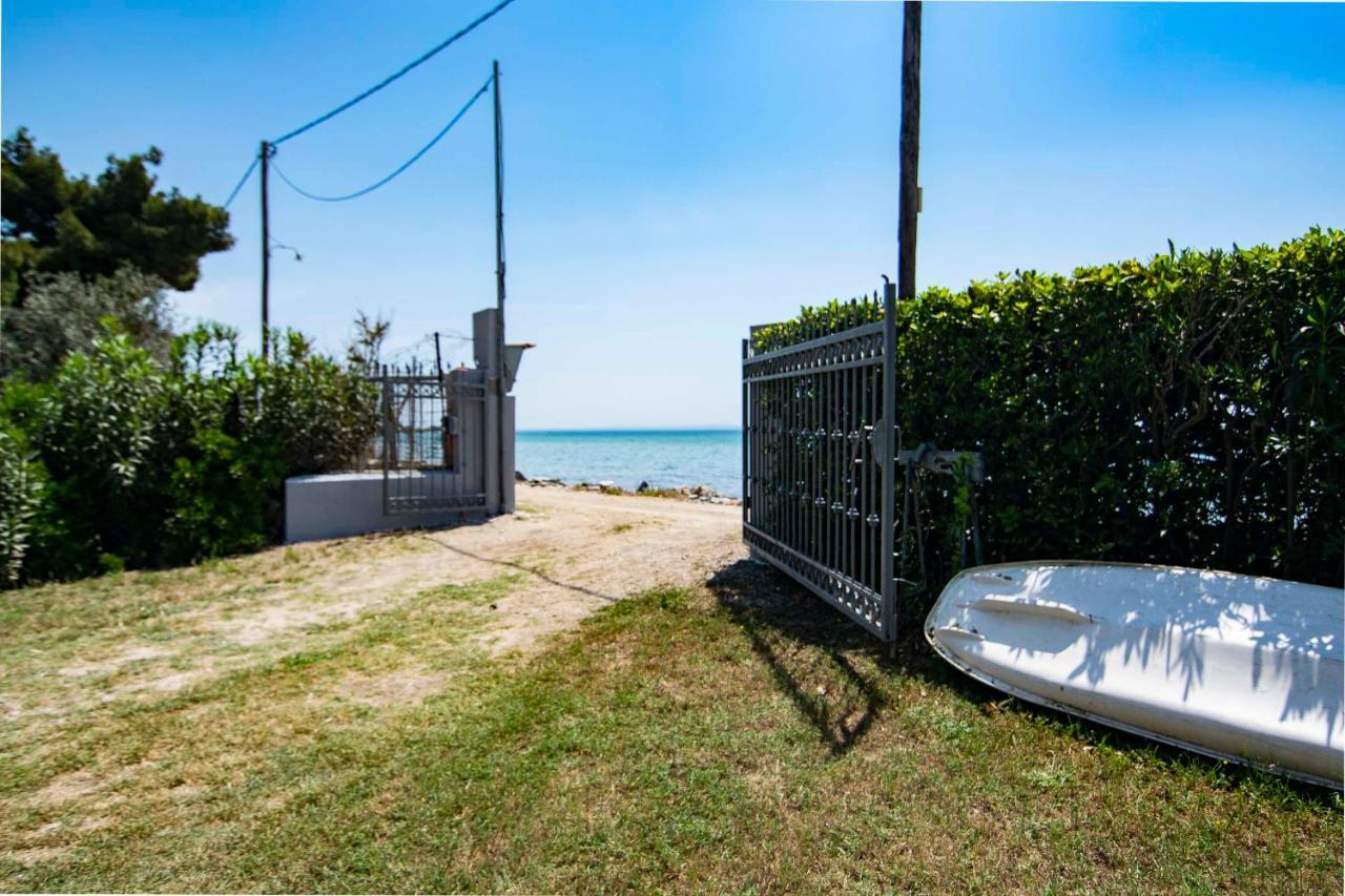 Clio Beach House By Travel Pro Services - Metochi Halkidiki Sozopoli Bagian luar foto