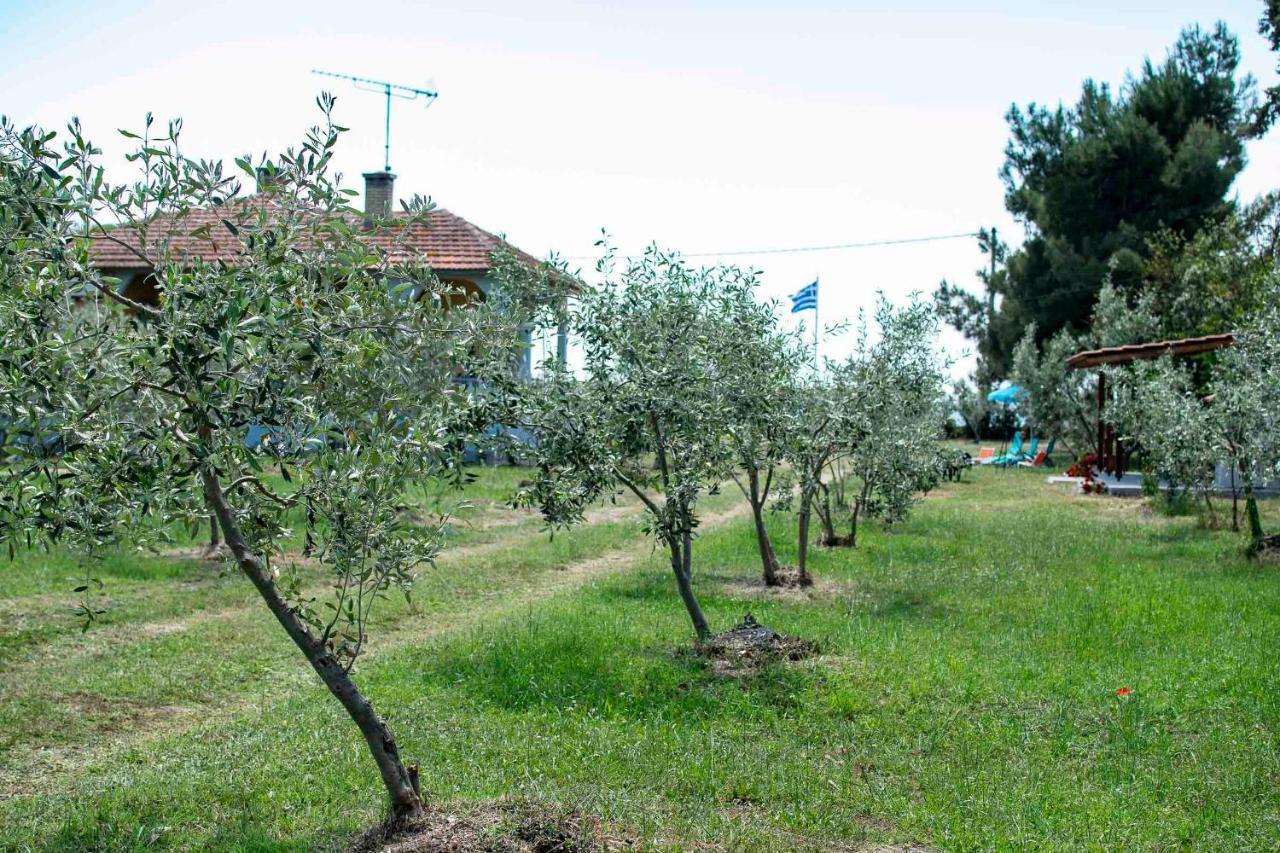 Clio Beach House By Travel Pro Services - Metochi Halkidiki Sozopoli Bagian luar foto