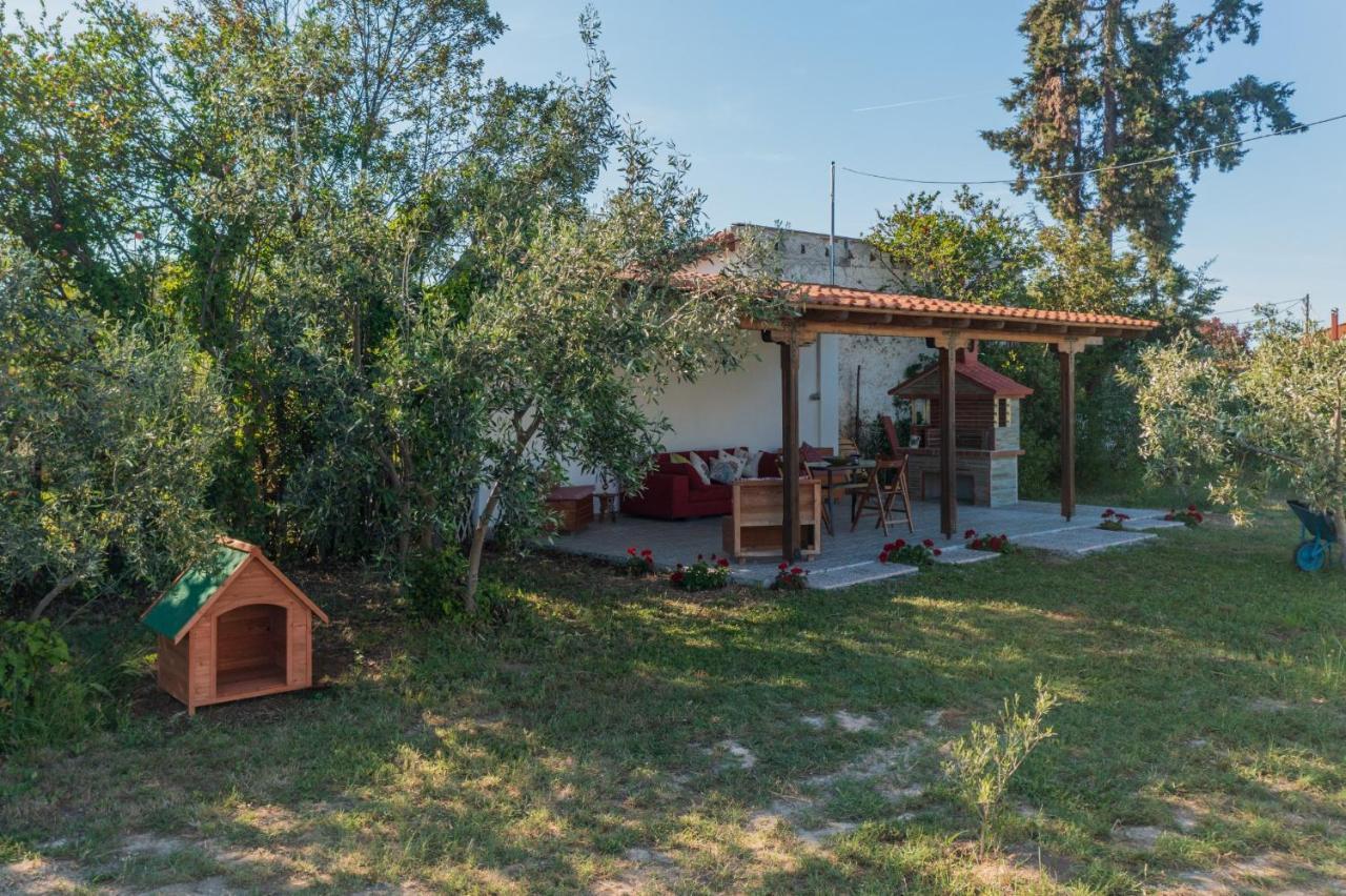 Clio Beach House By Travel Pro Services - Metochi Halkidiki Sozopoli Bagian luar foto