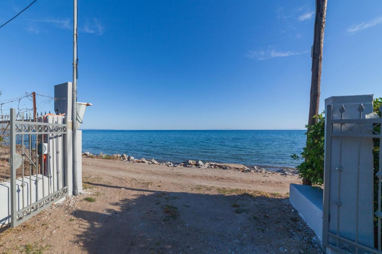 Clio Beach House By Travel Pro Services - Metochi Halkidiki Sozopoli Bagian luar foto